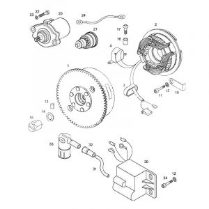 Ontsteking Met Pick-Up / Startmotor Tomos Standard