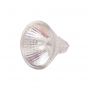 Lamp MR11-35MM 12 Volt 20 Watt Halogeen